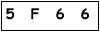 salt-5389D312