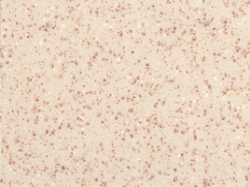 Νεροχύτης συνθετικός 81 x 50cm, χρώμα granite sand