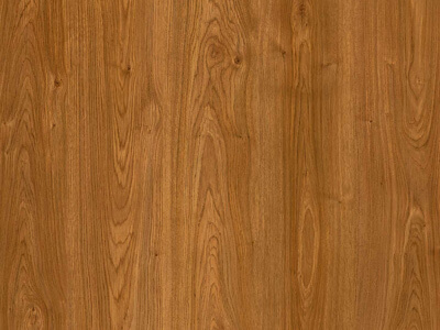 Montana Oak Allover 0202