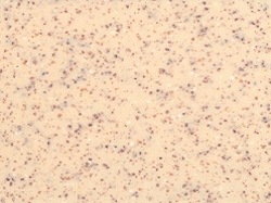Νεροχύτης συνθετικός 60 x 51cm χρώμα granite beige