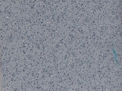 Θερμομεικτική μπαταρία Doppio metallic silver
