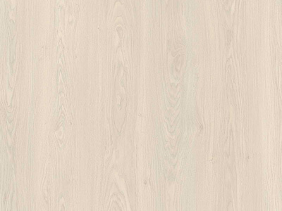 Plateau Oak 0208